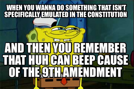 when-you-wanna-do-something-that-isnt-specifically-emulated-in-the-constitution-
