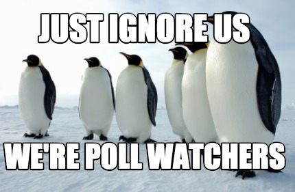 just-ignore-us-were-poll-watchers