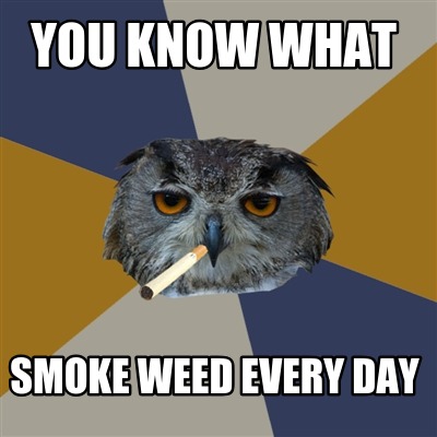 you-know-what-smoke-weed-every-day