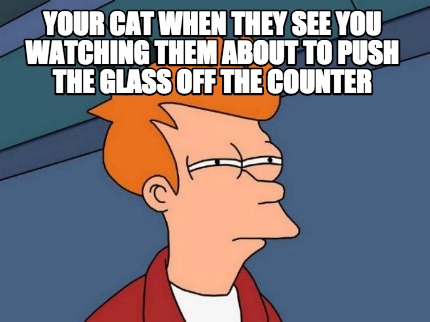 your-cat-when-they-see-you-watching-them-about-to-push-the-glass-off-the-counter