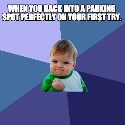 when-you-back-into-a-parking-spot-perfectly-on-your-first-try