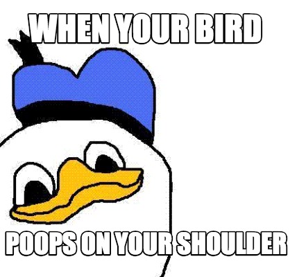 when-your-bird-poops-on-your-shoulder