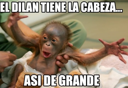 el-dilan-tiene-la-cabeza...-asi-de-grande