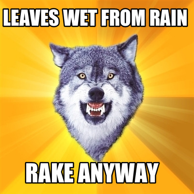 leaves-wet-from-rain-rake-anyway