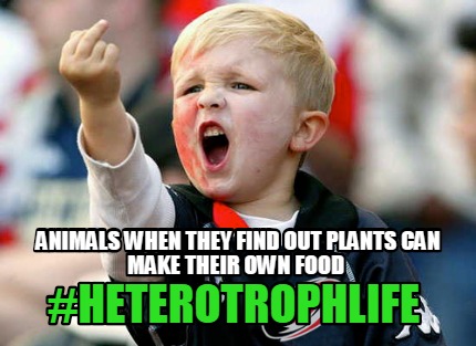 animals-when-they-find-out-plants-can-make-their-own-food-heterotrophlife