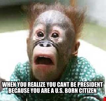 when-you-realize-you-cant-be-president-because-you-are-a-u.s.-born-citizen