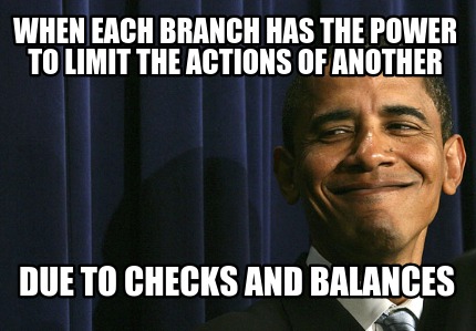 when-each-branch-has-the-power-to-limit-the-actions-of-another-due-to-checks-and