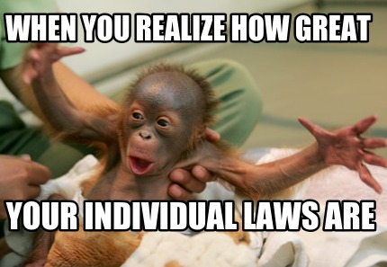 when-you-realize-how-great-your-individual-laws-are