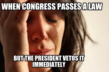 when-congress-passes-a-law-but-the-president-vetos-it-immediately