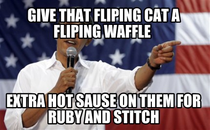give-that-fliping-cat-a-fliping-waffle-extra-hot-sause-on-them-for-ruby-and-stit