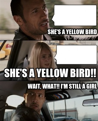 shes-a-yellow-bird-wait-what-im-still-a-girl-shes-a-yellow-bird