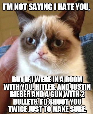 im-not-saying-i-hate-you-but-if-i-were-in-a-room-with-you-hitler-and-justin-bieb
