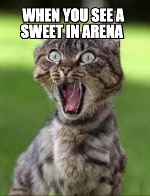 when-you-see-a-sweet-in-arena