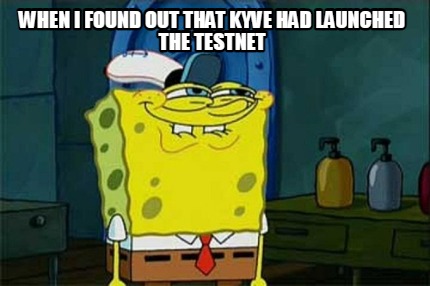 when-i-found-out-that-kyve-had-launched-the-testnet