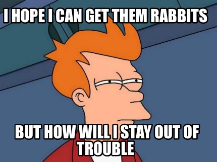 i-hope-i-can-get-them-rabbits-but-how-will-i-stay-out-of-trouble