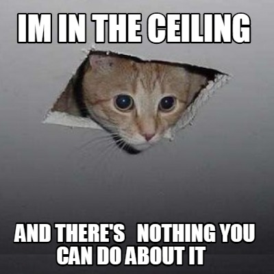 im-in-the-ceiling-and-theres-nothing-you-can-do-about-it