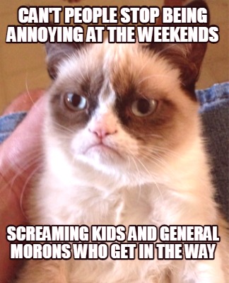 cant-people-stop-being-annoying-at-the-weekends-screaming-kids-and-general-moron