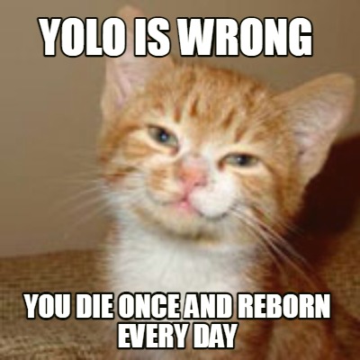 yolo-is-wrong-you-die-once-and-reborn-every-day