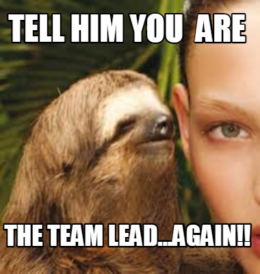 tell-him-you-are-the-team-lead...again
