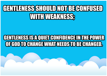 gentleness-should-not-be-confused-with-weakness-gentleness-is-a-quiet-confidence
