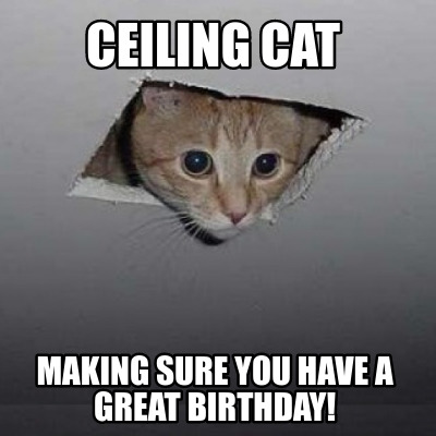 ceiling-cat-making-sure-you-have-a-great-birthday