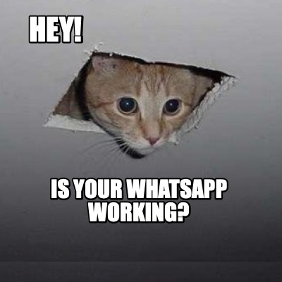 hey-is-your-whatsapp-working