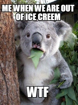 me-when-we-are-out-of-ice-creem-wtf