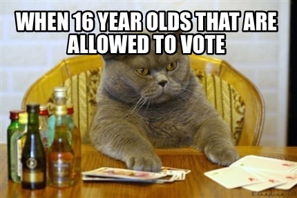 when-16-year-olds-that-are-allowed-to-vote