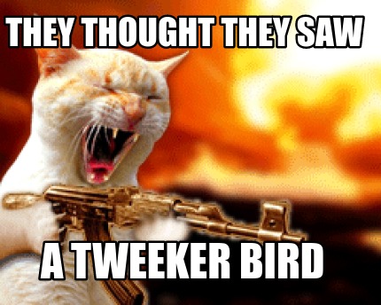 they-thought-they-saw-a-tweeker-bird