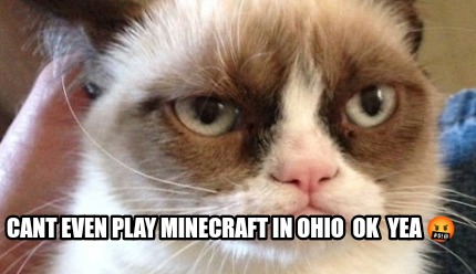 cant-even-play-minecraft-in-ohio-ok-yea-