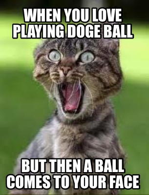 when-you-love-playing-doge-ball-but-then-a-ball-comes-to-your-face