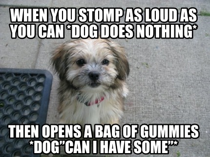 when-you-stomp-as-loud-as-you-can-dog-does-nothing-then-opens-a-bag-of-gummies-d