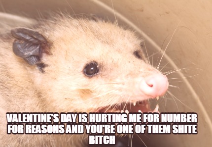 valentines-day-is-hurting-me-for-number-for-reasons-and-youre-one-of-them-shite-