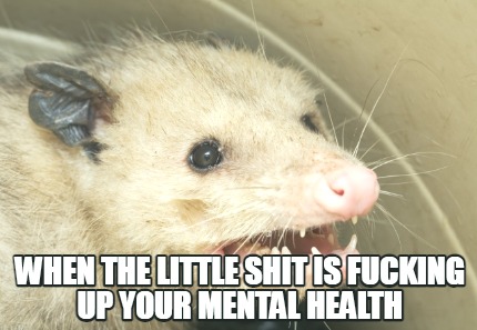 when-the-little-shit-is-fucking-up-your-mental-health