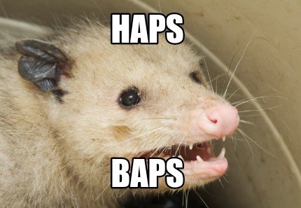 haps-baps