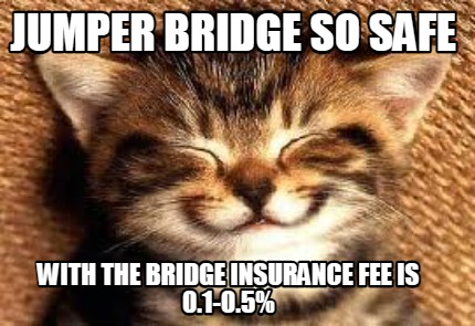 jumper-bridge-so-safe-with-the-bridge-insurance-fee-is-0.1-0.5
