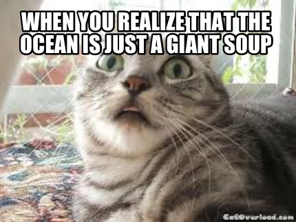 when-you-realize-that-the-ocean-is-just-a-giant-soup