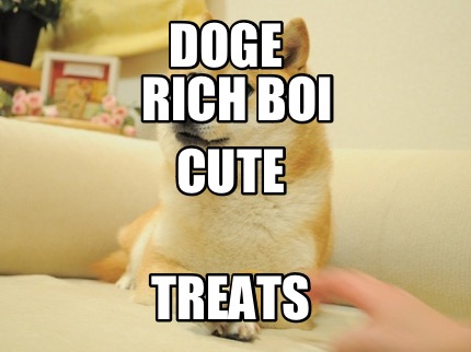 doge-treats-cute-rich-boi