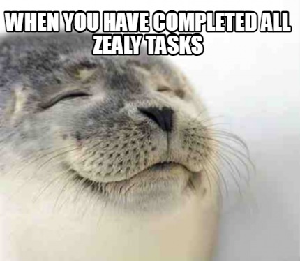 when-you-have-completed-all-zealy-tasks