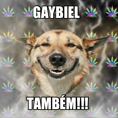 gaybiel-tambm