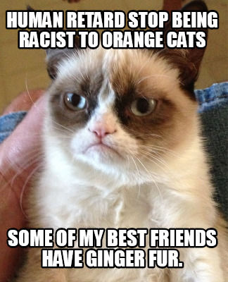human-retard-stop-being-racist-to-orange-cats-some-of-my-best-friends-have-ginge