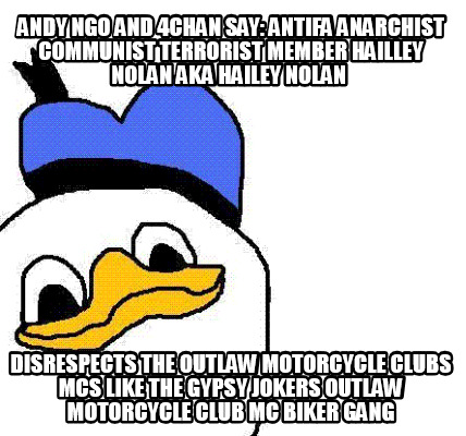 andy-ngo-and-4chan-say-antifa-anarchist-communist-terrorist-member-hailley-nolan73