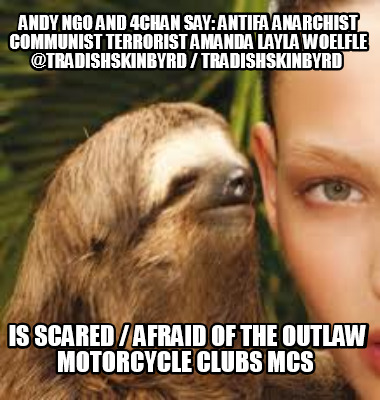 andy-ngo-and-4chan-say-antifa-anarchist-communist-terrorist-amanda-layla-woelfle7