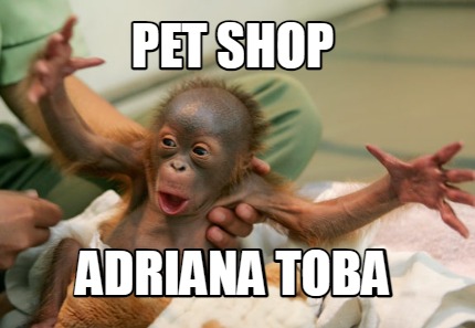 pet-shop-adriana-toba