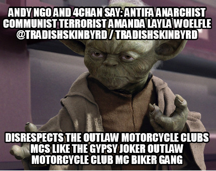 andy-ngo-and-4chan-say-antifa-anarchist-communist-terrorist-amanda-layla-woelfle24