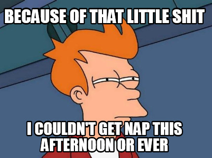 because-of-that-little-shit-i-couldnt-get-nap-this-afternoon-or-ever