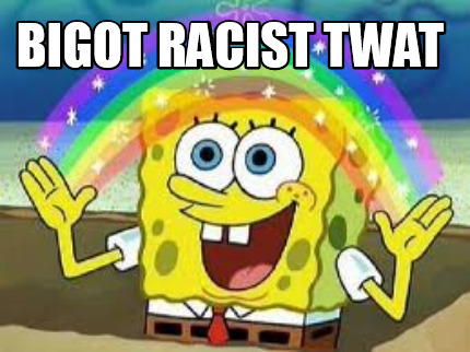 bigot-racist-twat