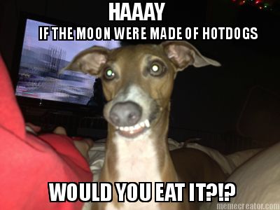 haaay-if-the-moon-were-made-of-hotdogs-would-you-eat-it