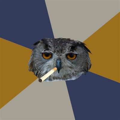 smoking-owl