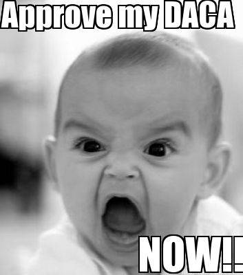 approve-my-daca-now